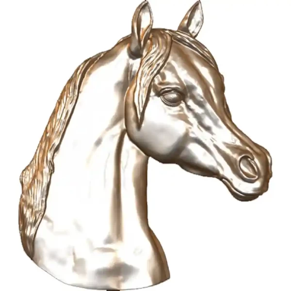 Caballo Árabe - Cabeza