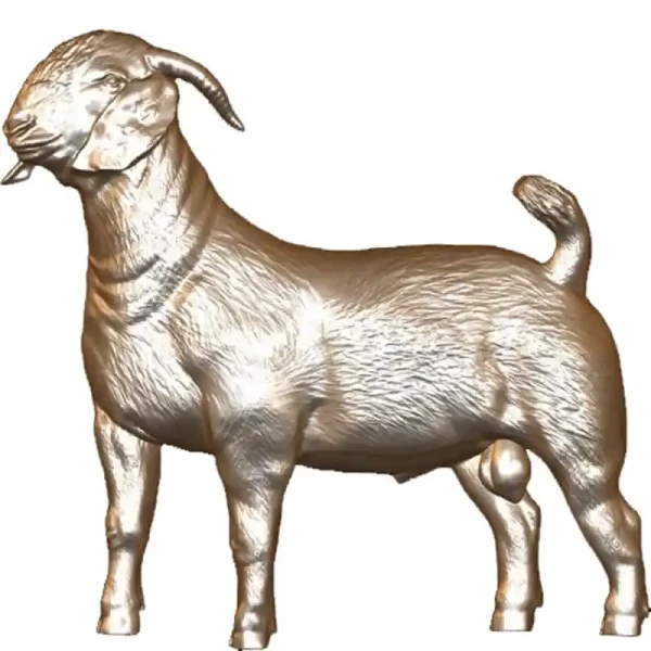 Cabra Boer