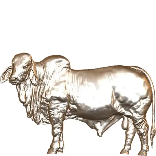 Toro de Brahman