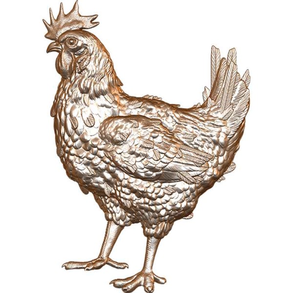 Pollo de Engorda