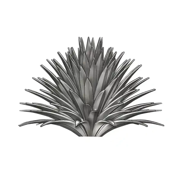 Agave
