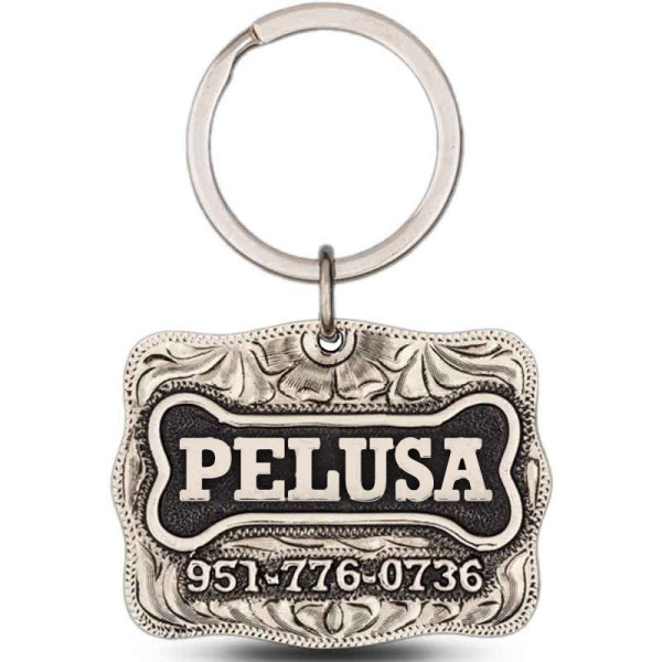 Pelusa