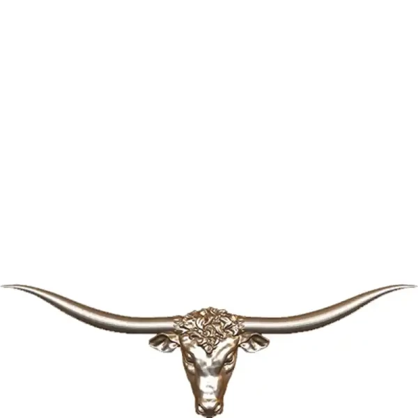 Toro Cuernos Largos