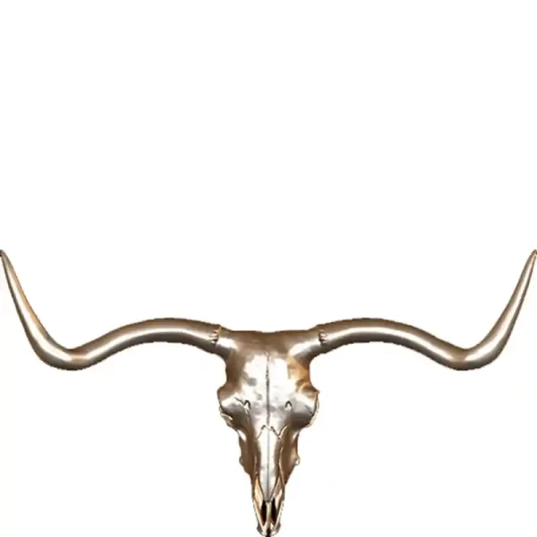 Toro Cuernos Largos Esqueleto