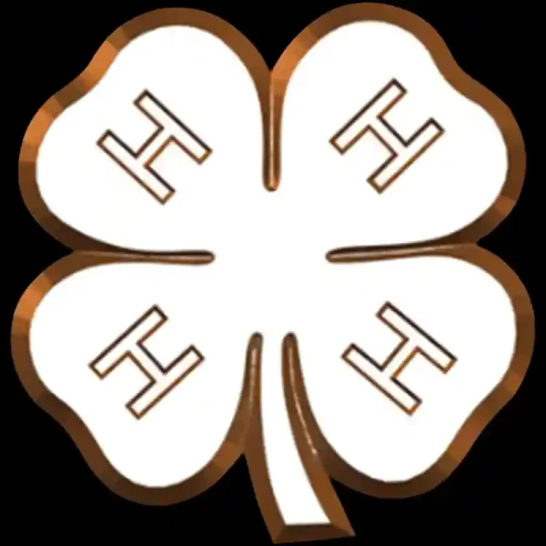 4H (With Permission)