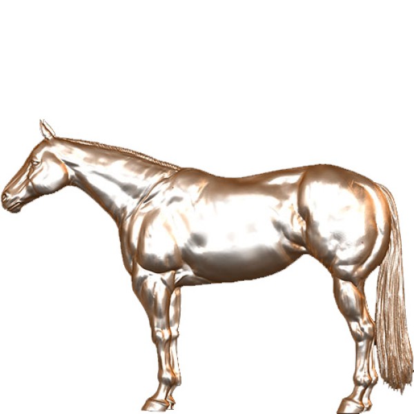 Caballo de Pie
