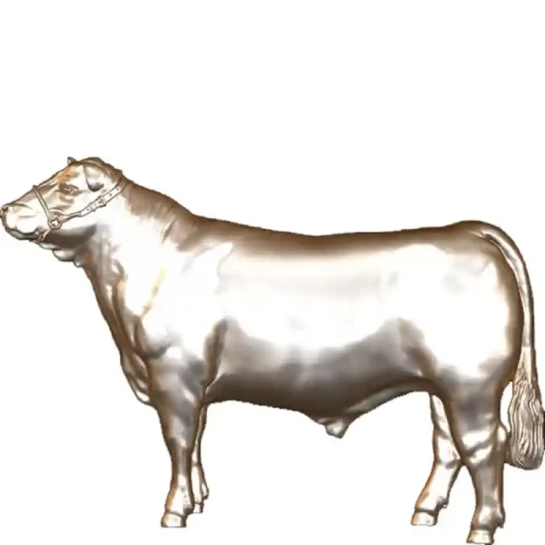 Novillo